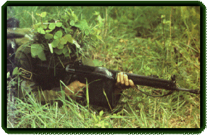 G-3, llamado AK-4 por el ejercito sueco